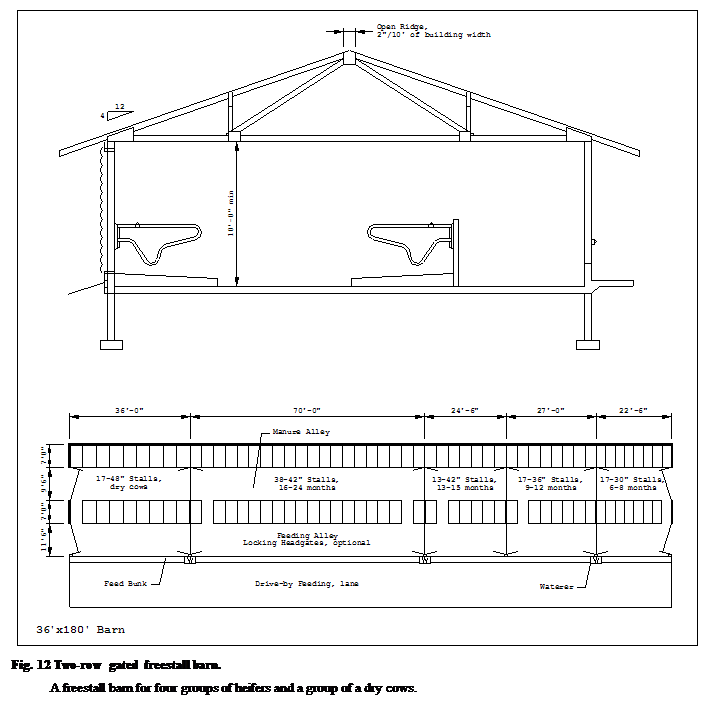 :  &#13;&#10;Fig. 12 Two-row gated freestall barn.&#13;&#10;A freestall barn for four groups of heifers and a group of a dry cows.&#13;&#10;