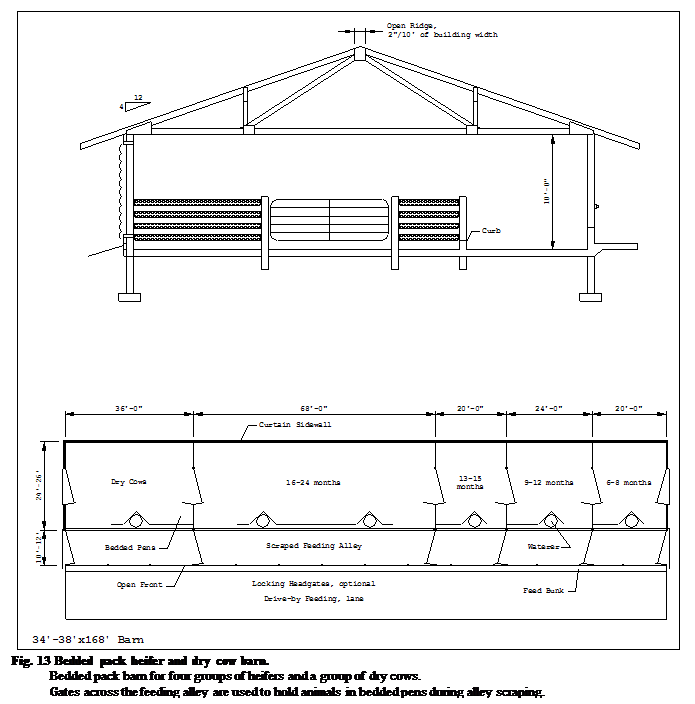 :  Fig. 13 Bedded pack heifer and dry cow barn.&#13;&#10;Bedded pack barn for four groups of heifers and a group of dry cows.&#13;&#10;Gates across the feeding alley are used to hold animals in bedded pens during alley scraping.&#13;&#10;