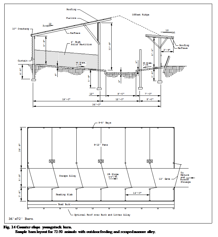 :  Fig. 14 Counter-slope youngstock barn.&#13;&#10;Sample barn layout for 72-90 animals with outdoor feeding and scraped manure alley.&#13;&#10;