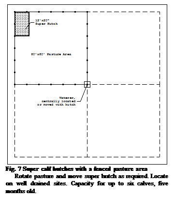 :  Fig. 7 Super calf hutches with a fenced pasture area&#13;&#10;Rotate pasture and move super hutch as required. Locate on well drained sites. Capacity for up to six calves, five months old.&#13;&#10;