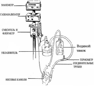      (Buble CPAP)