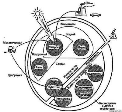 http://www.ecology-portal.ru/pictures02/1/jekologicheskie-komponenty.jpg