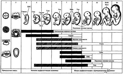 : http://www.botan0.ru/files/biology/image260.gif