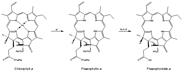 Reaction scheme