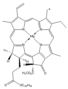 The structure of chlorophyll-a