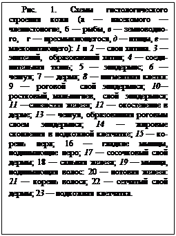 : . 1.     (    ,   ,   ,     -,   ,   -): 1  2   . 3  ,   ; 4   ; 5  ; 6  ; 7  -; 8   : 9     ; 10, -,    ; 11  ; 12    ; 13  , -   ; 14      ; 15   ; 16   ,  ; 17    ; 18   ; 19  ,  : 20   : 21   ; 22    ; 23   .