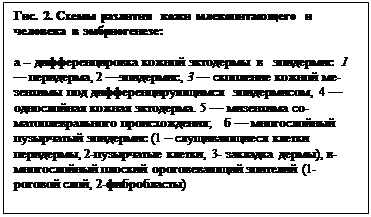 : . 2.      -  :&#13;&#10;   &#13;&#10; --          1  , 2 , 3    -     ,  4    . 5   - ;        (1    -, 2- , 3-  ), -    (1- , 2-)&#13;&#10;