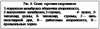 : . 6.   :&#13;&#10;1-   ,&#13;&#10;2- ,3-,        4- , 5-  , -   , 7   , 8  , 9       &#13;&#10;  &#13;&#10;&#13;&#10;